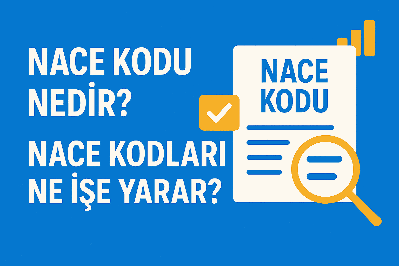 NACE Kodu Nedir? NACE Kodları Ne İşe Yarar?